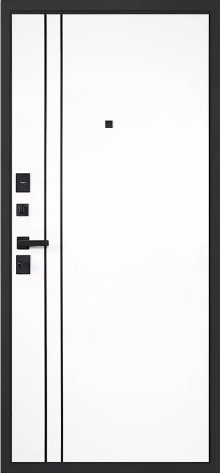 Товар Дверь Forest DIS007536